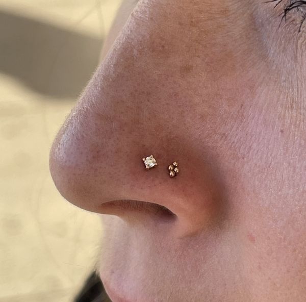 2 body piercing kaylee ristau