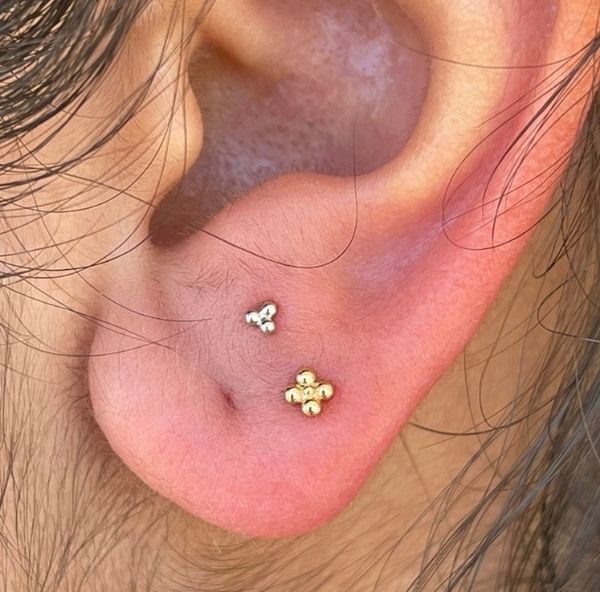 25 body piercing kaylee ristau