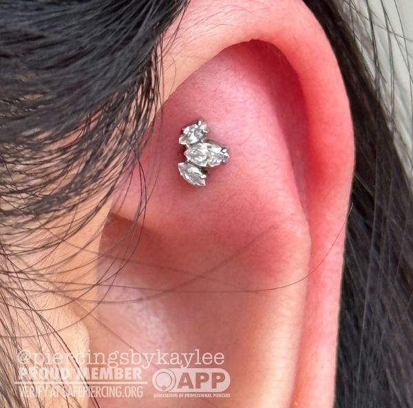 26 body piercing kaylee ristau