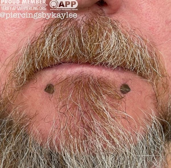 41 body piercing kaylee ristau